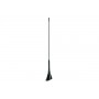 ANTENNA AM-FM UNIVERSALE 16V 45° 40cm CAVO 6mt