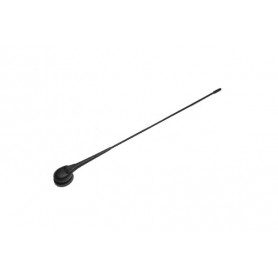 ANTENNA AM-FM ALFA FIAT LANCIA 40cm